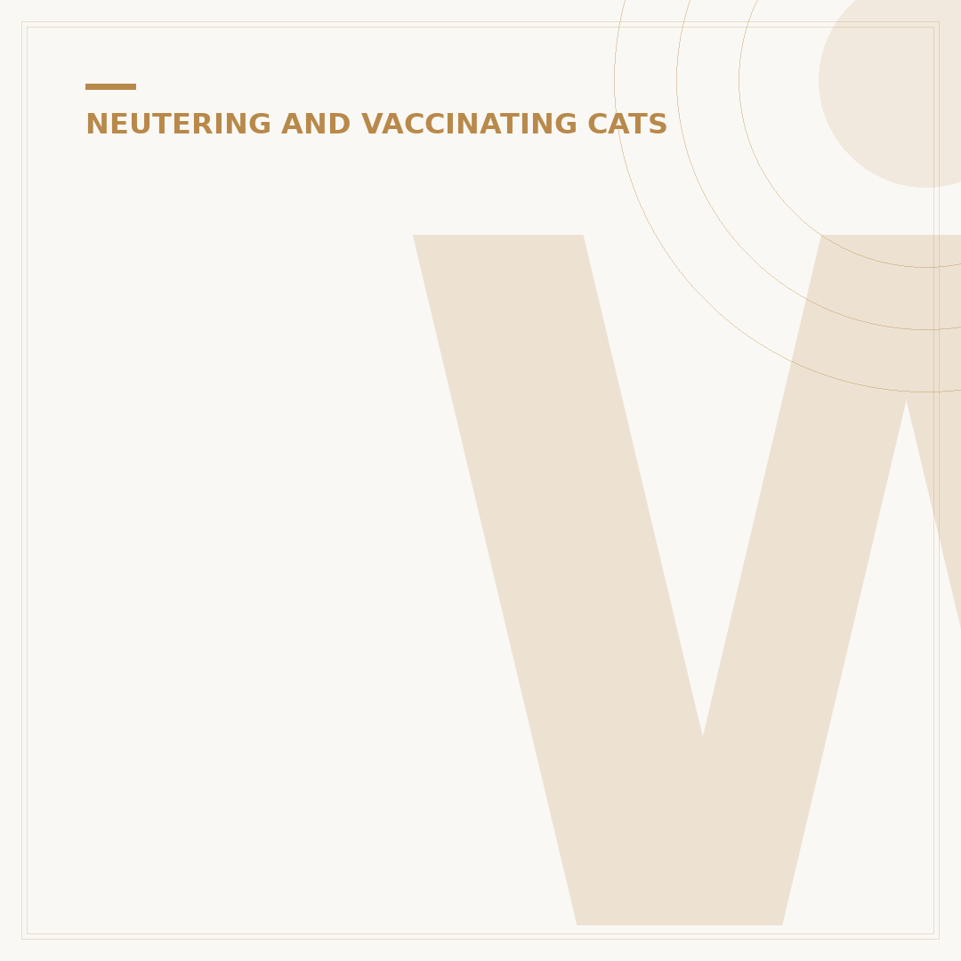 When Should Male Cats Be Neutered?