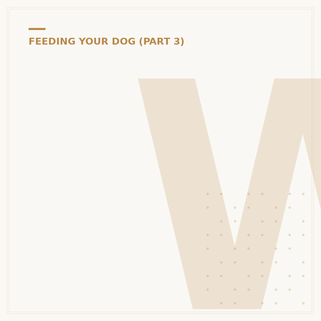 When Can A Puppy Have Adult Food? The Transition