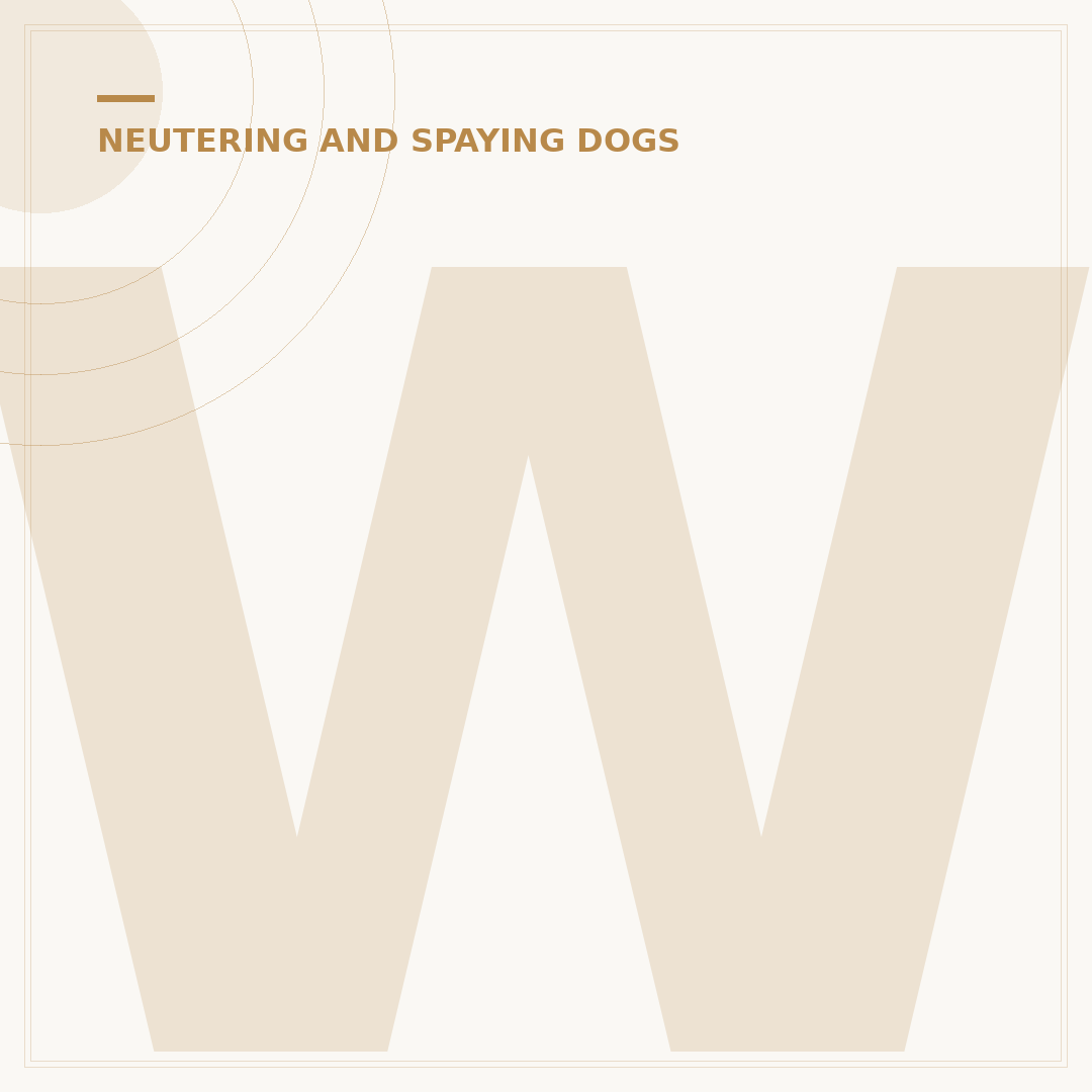 When to Take Cone Off Dog After Neuter: Post-Op Care