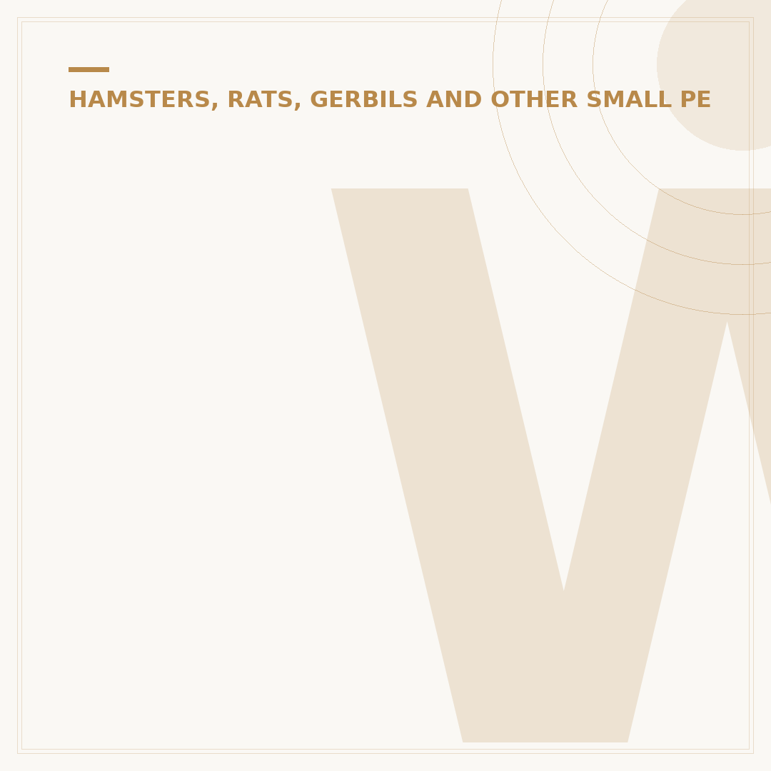 Where Did Hamsters Originate From?