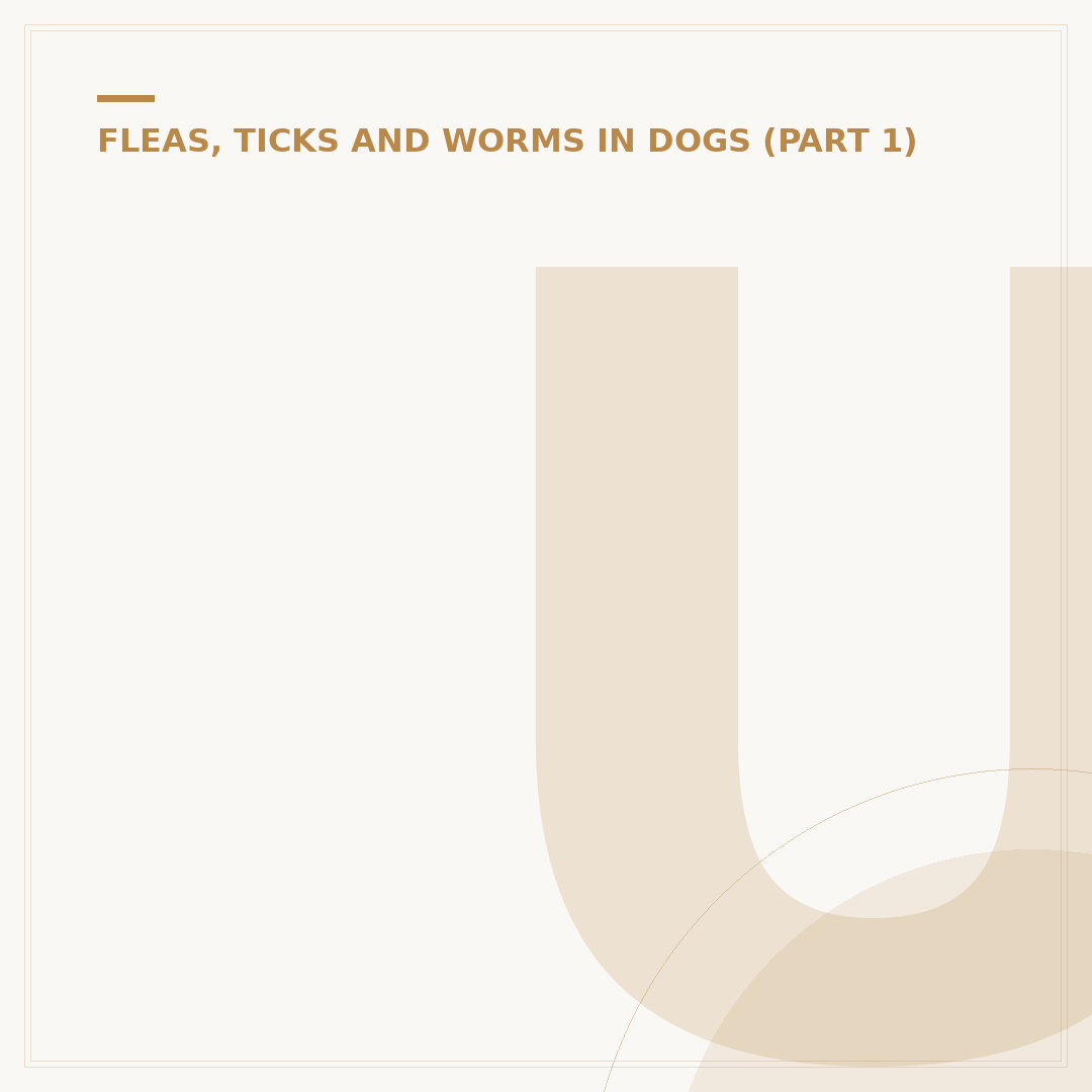 Understanding Whipworm Infection in Dogs