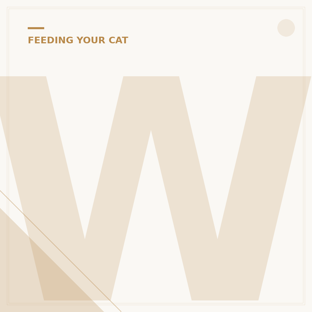 Why Does My Cat Chew My Hair?