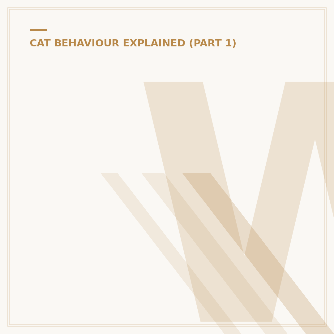Why Do Cats Hiss? Understanding Feline Communication