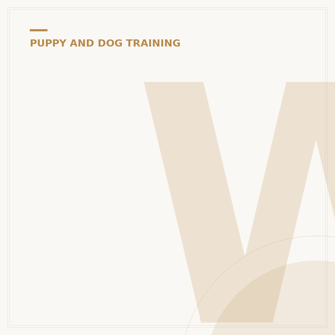 Will Atherton Puppy Training: What You Need to Know