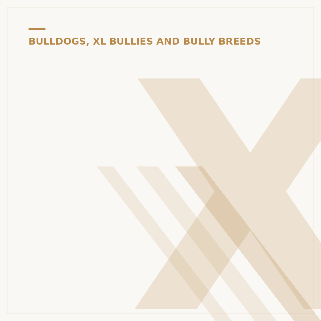 XL Bully Bite Force: Understanding the Power