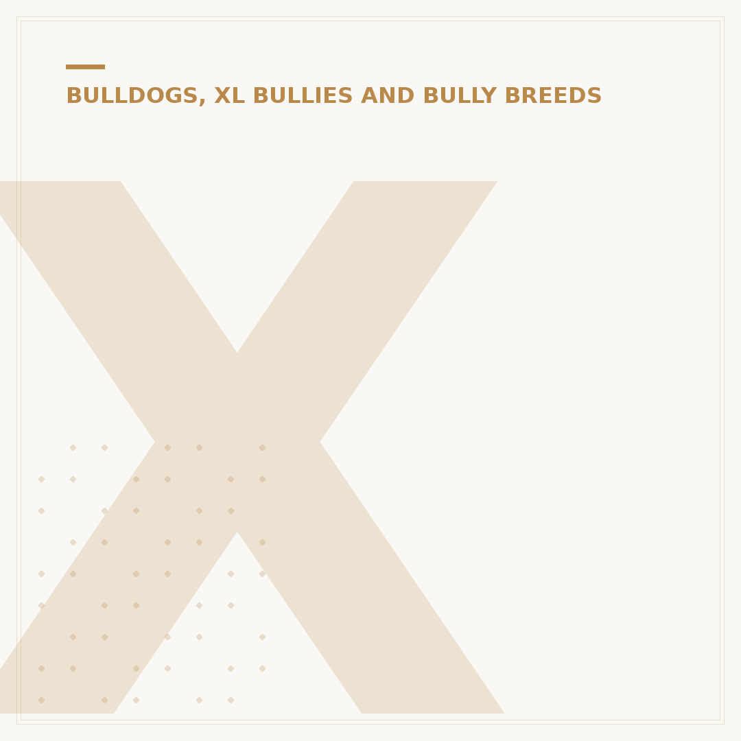 XL Bully Dog Breed: What You Need to Know