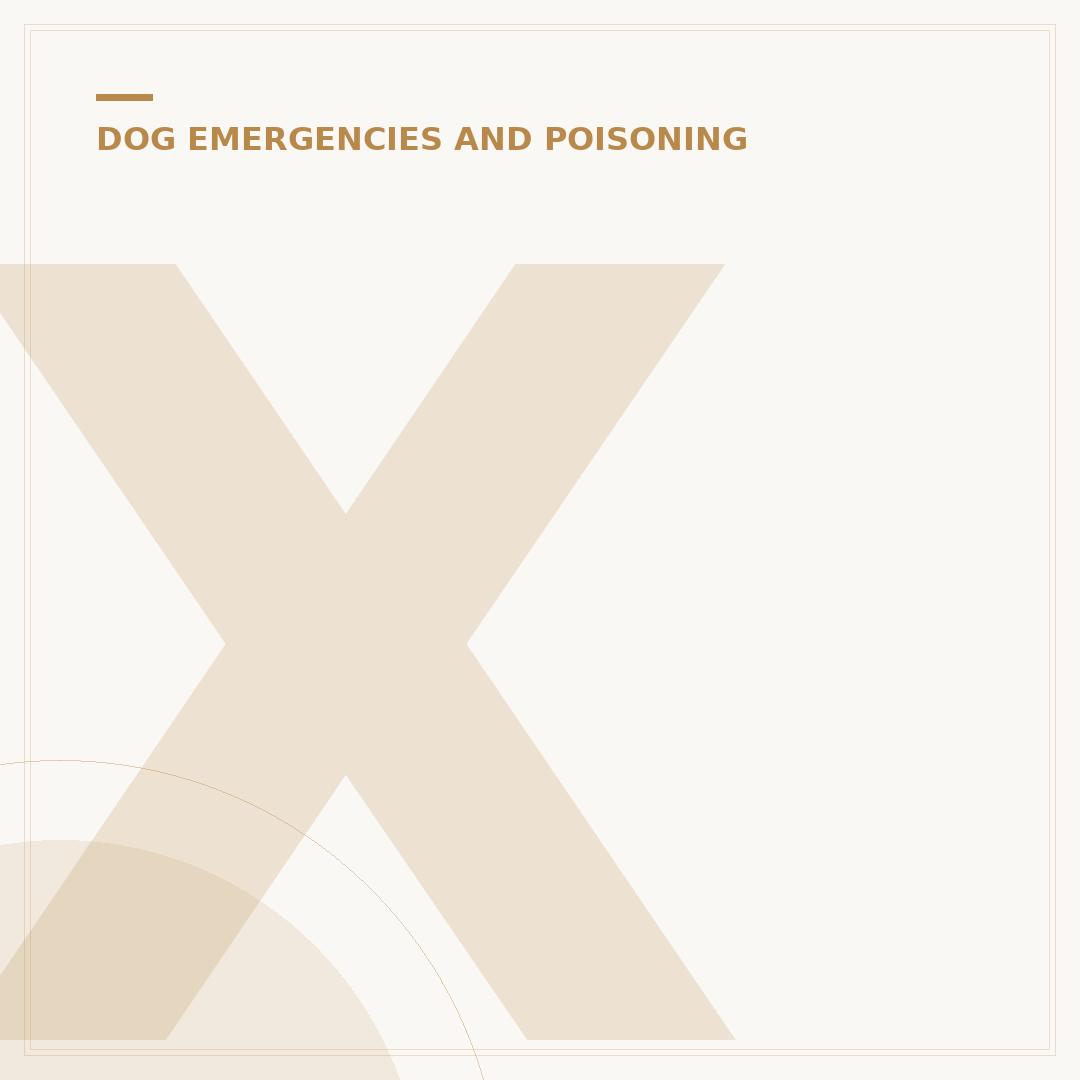 Xylitol Poisoning in Dogs: What to Do