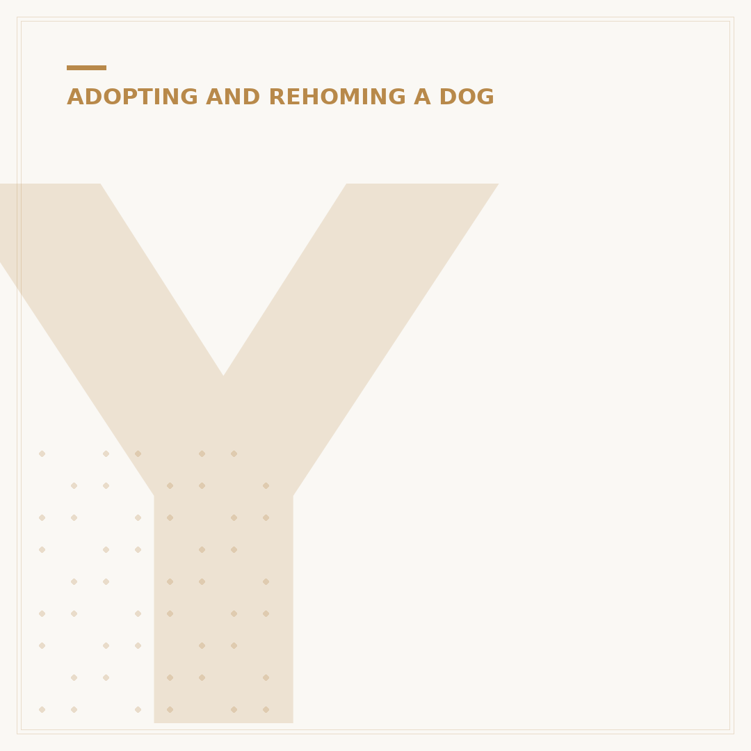Yappy Ever After Dog Rescue: Rehoming and Adoption