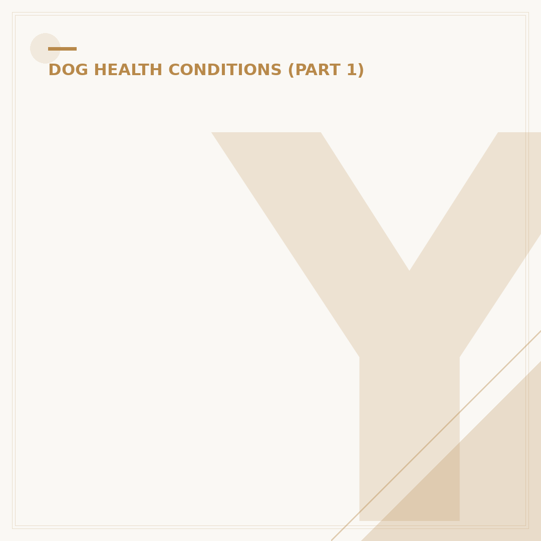 Yeast Infection in Dogs: Symptoms and Causes