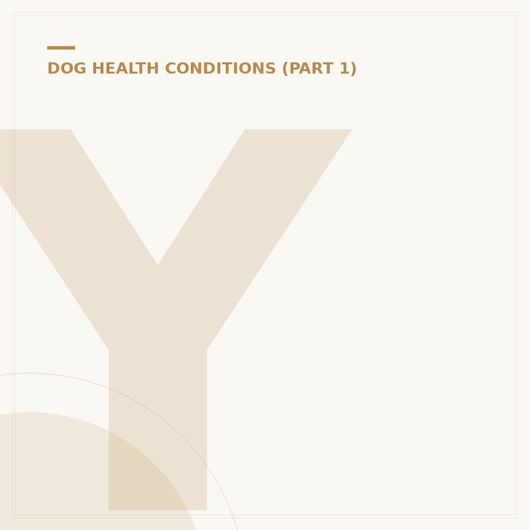 Yeast Infection Relief for Dogs: Causes & Treatments
