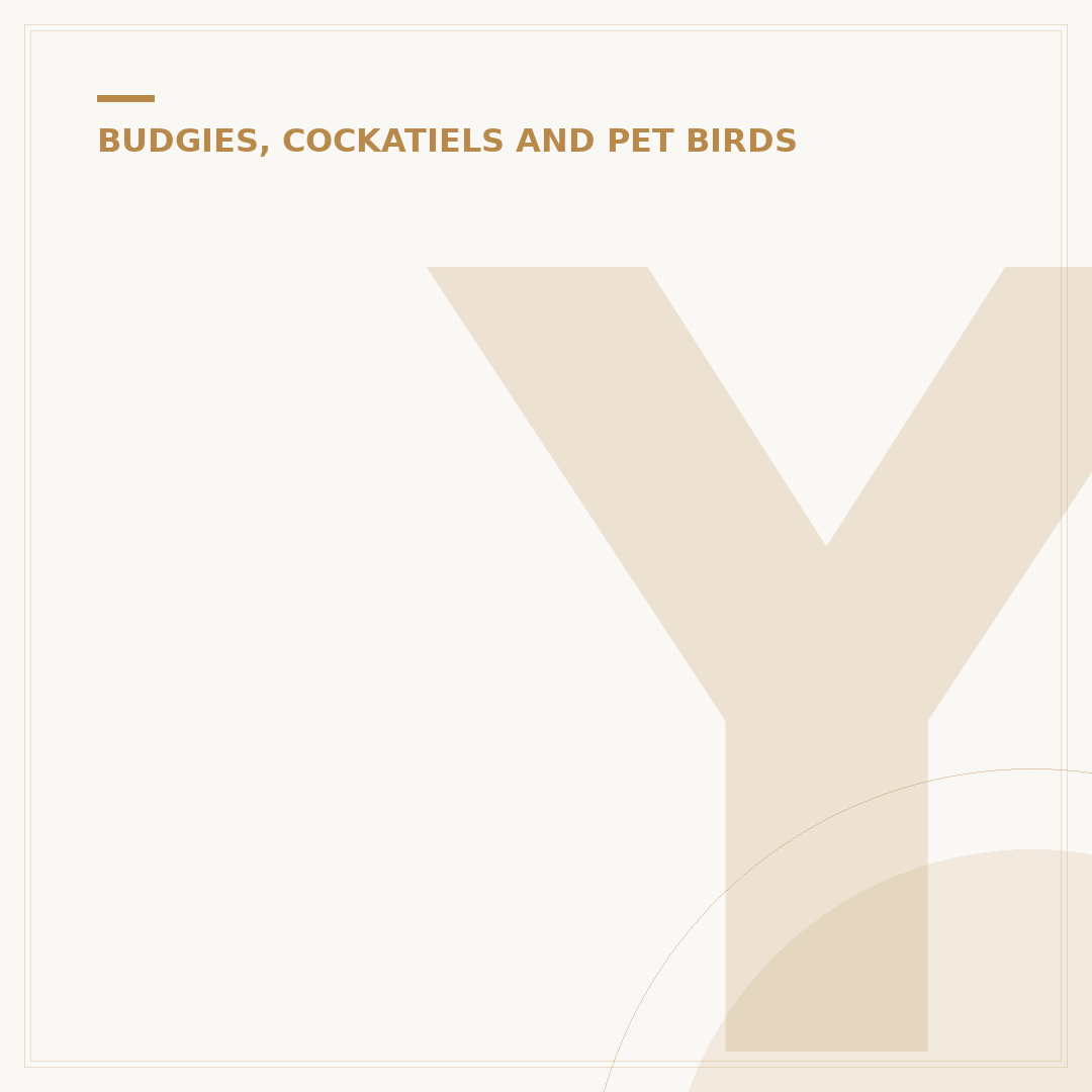 Yellow Budgie: What to Know About This Bright Bird