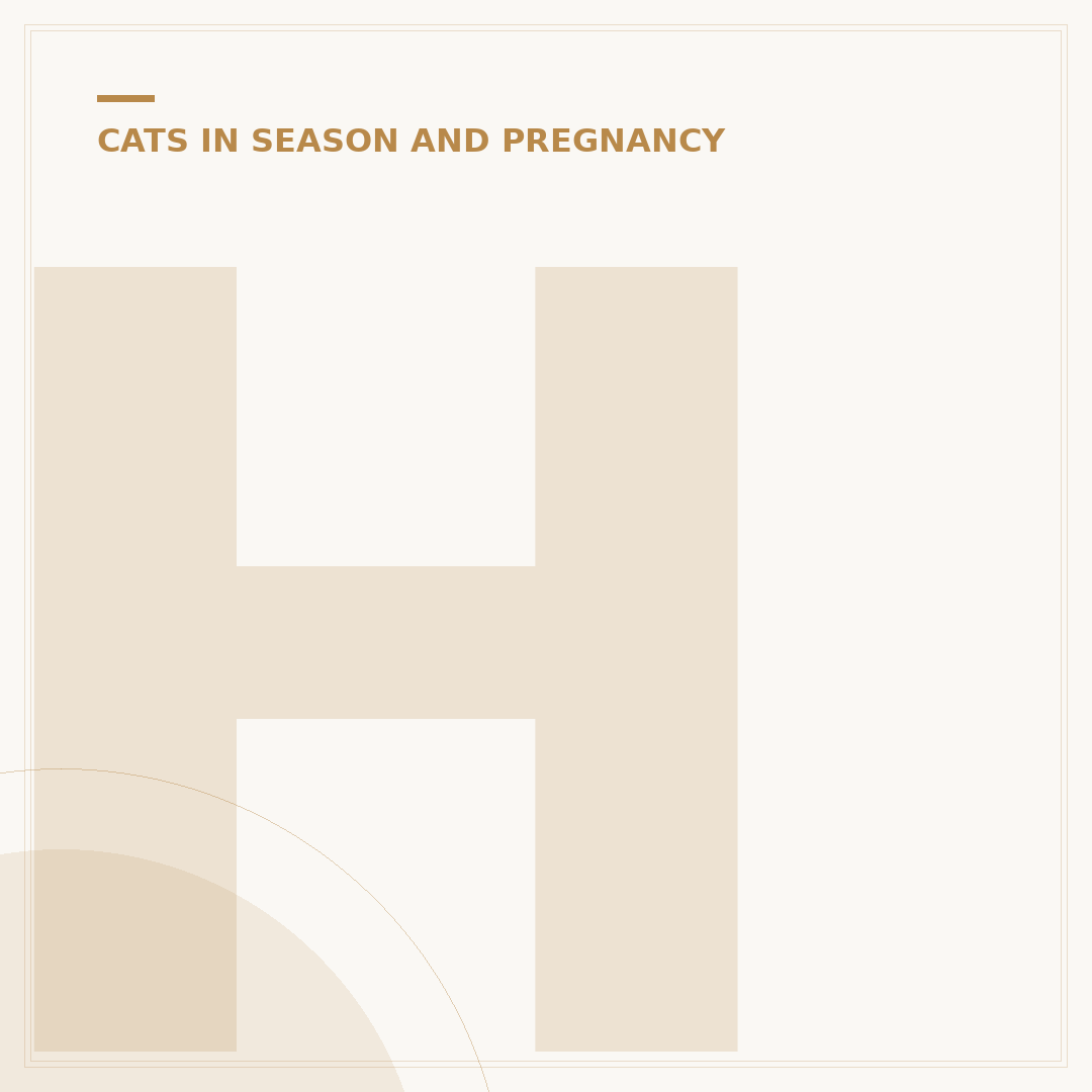 How Young Can a Cat Get Pregnant?