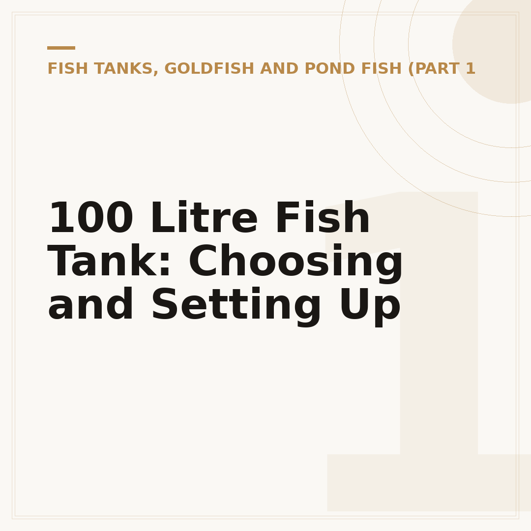 100 Litre Fish Tank: Choosing and Setting Up
