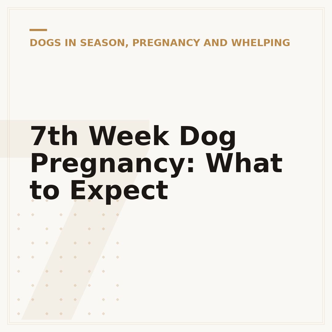 7th Week Dog Pregnancy: What to Expect