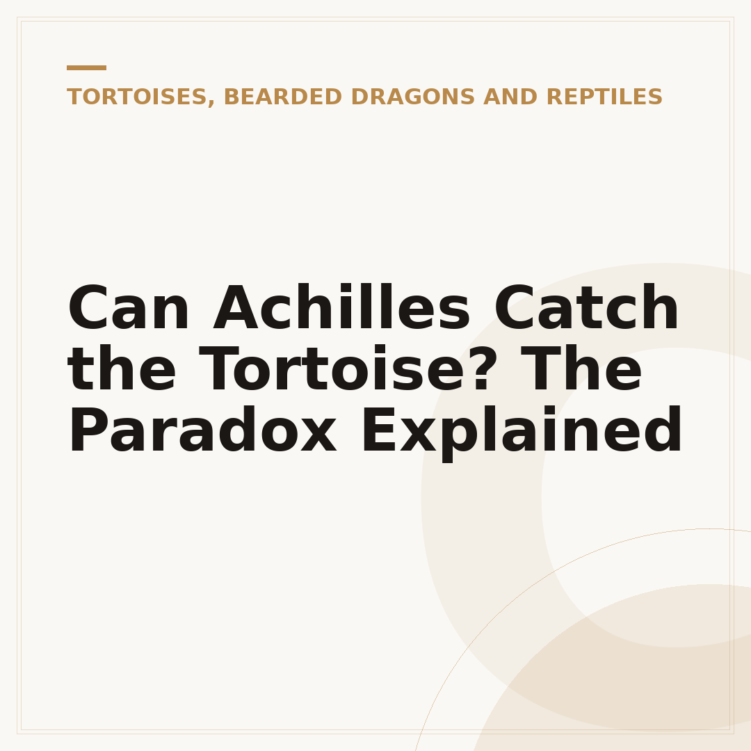Can Achilles Catch the Tortoise? The Paradox Explained