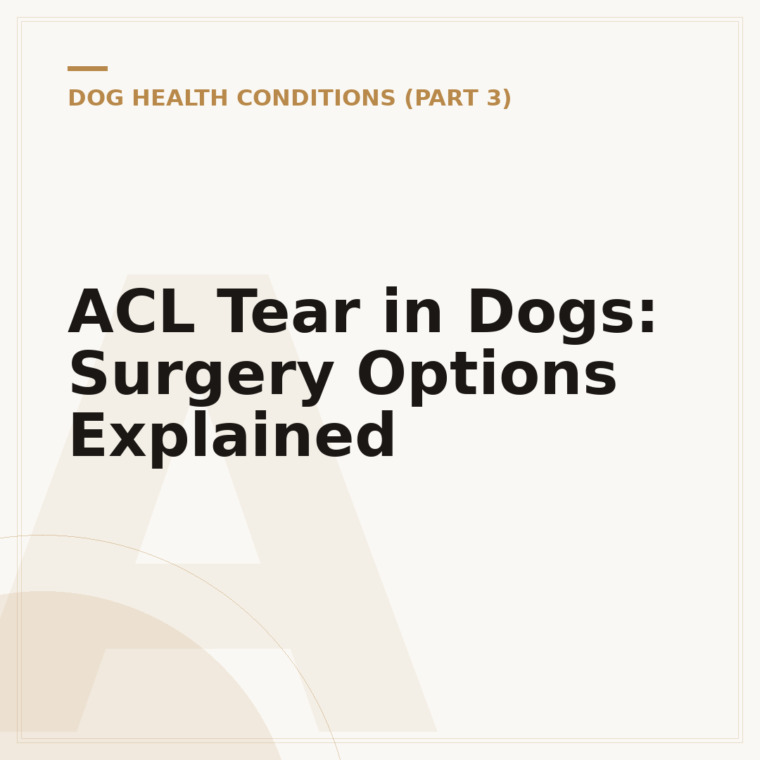 ACL Tear in Dogs: Surgery Options Explained