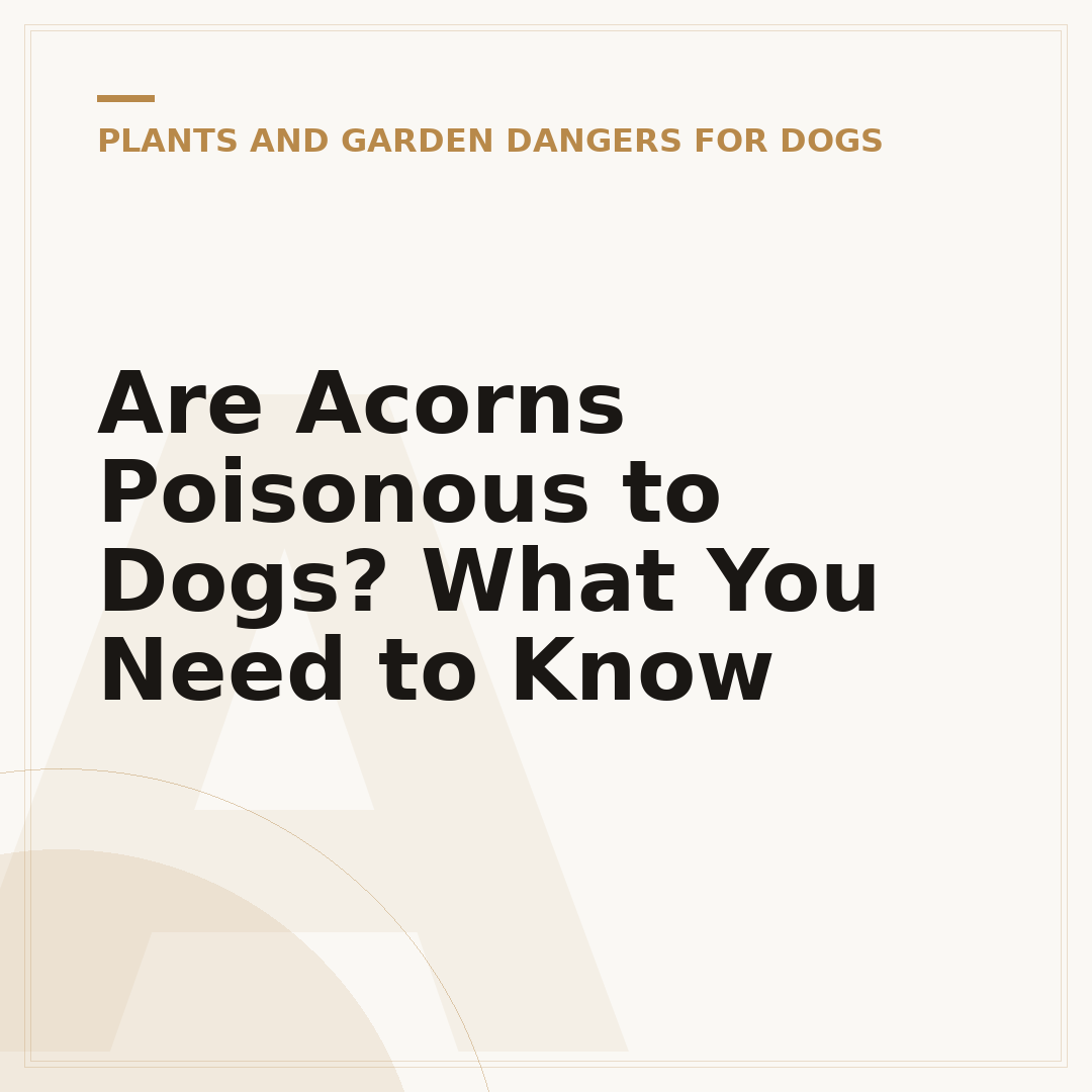 Are Acorns Poisonous to Dogs? What You Need to Know