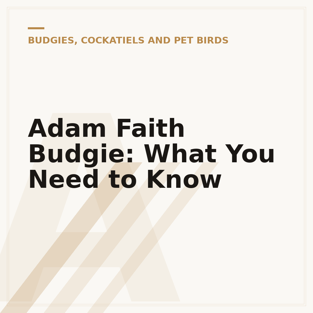Adam Faith Budgie: What You Need to Know