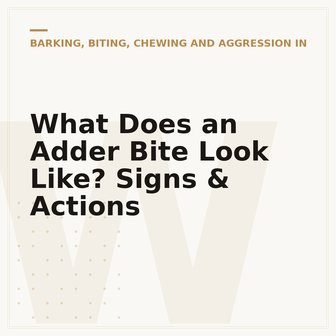 What Does an Adder Bite Look Like? Signs & Actions