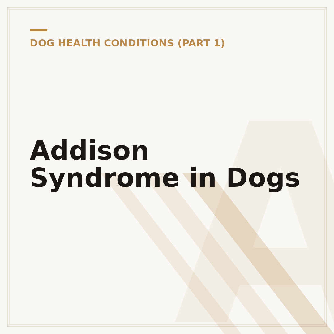 Addison Syndrome in Dogs