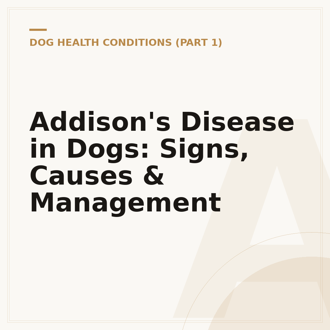 Addison's Disease in Dogs: Signs, Causes & Management
