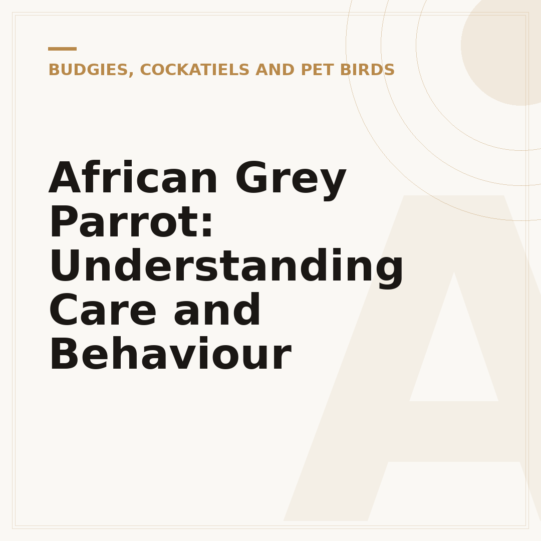 African Grey Parrot: Understanding Care and Behaviour