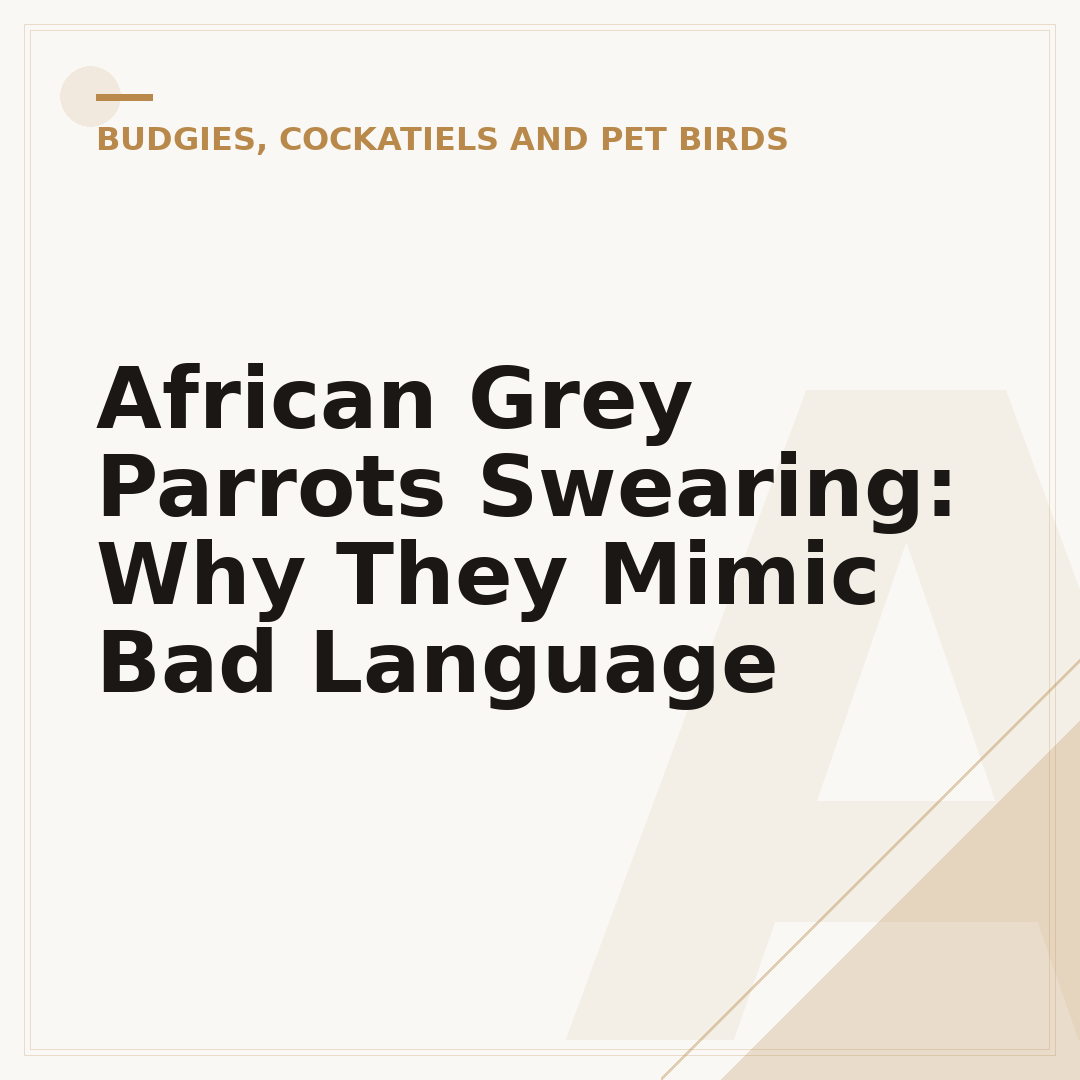 African Grey Parrots Swearing: Why They Mimic Bad Language