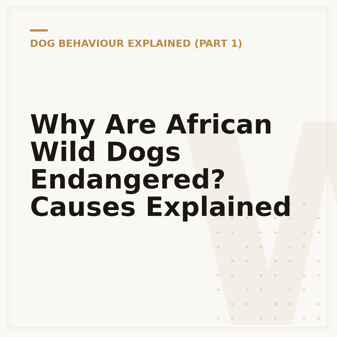 Why Are African Wild Dogs Endangered? Causes Explained