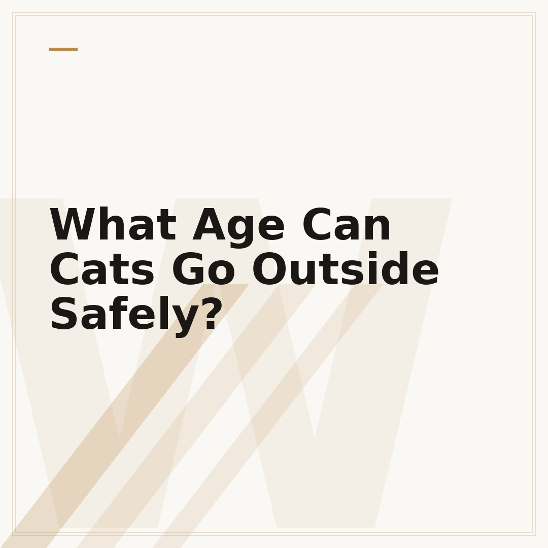 What Age Can Cats Go Outside Safely?