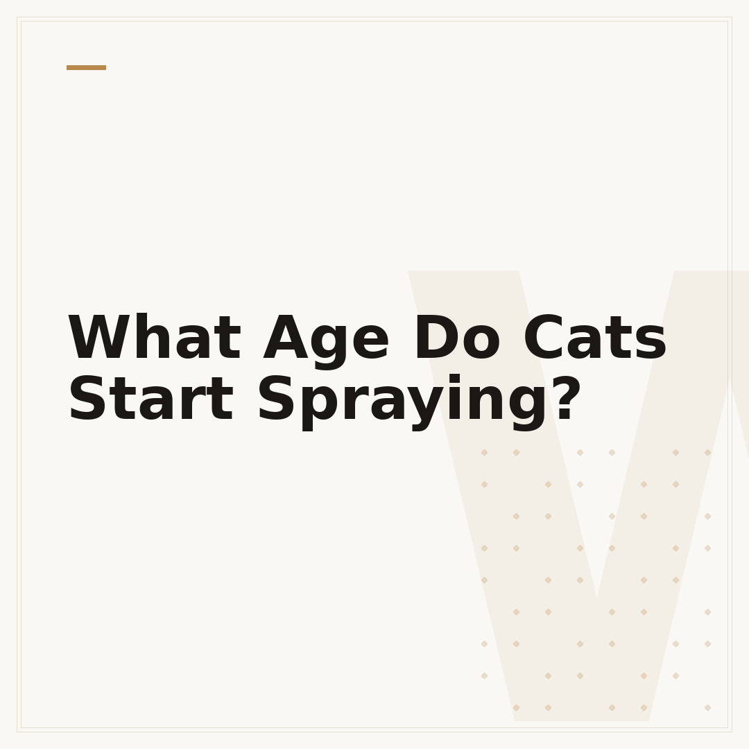 What Age Do Cats Start Spraying?