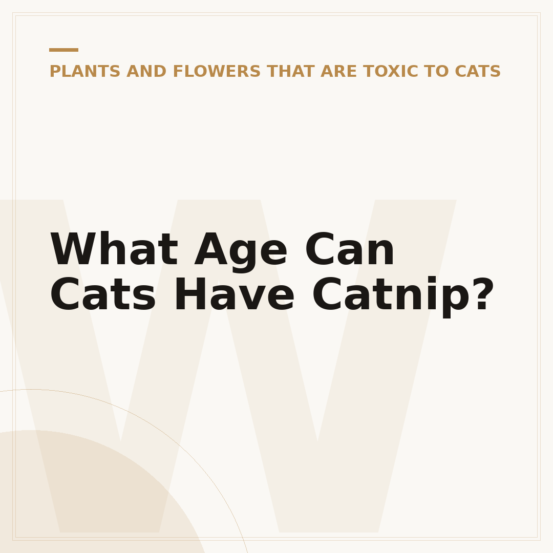 What Age Can Cats Have Catnip?