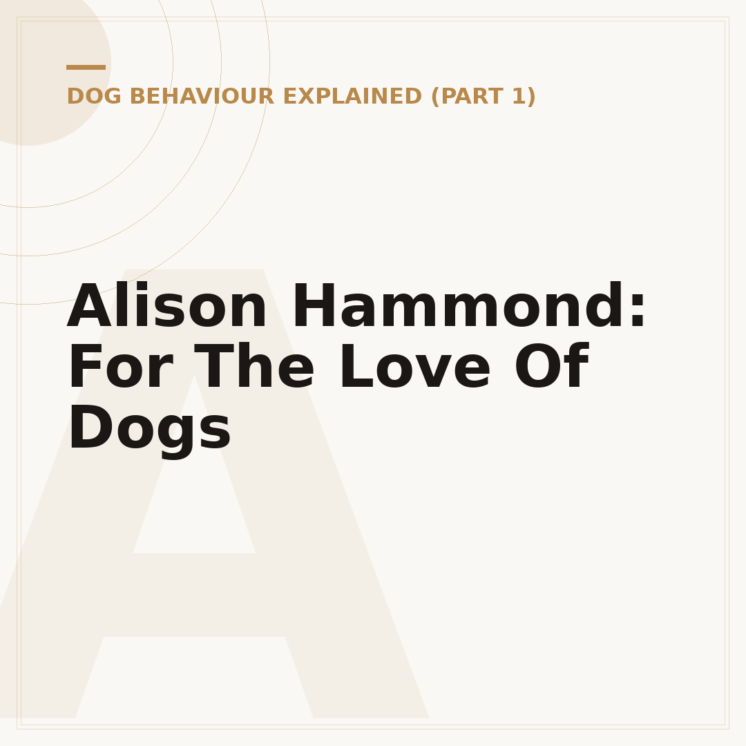 Alison Hammond: For The Love Of Dogs