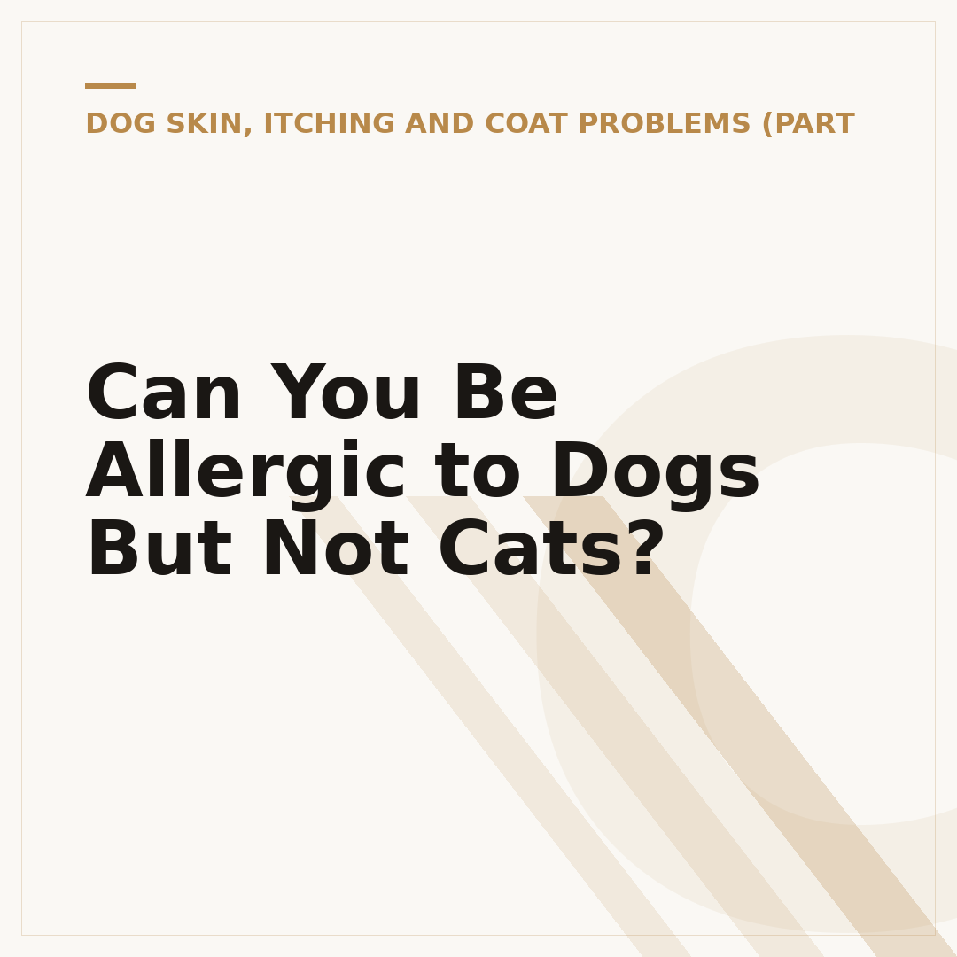 Can You Be Allergic to Dogs But Not Cats?