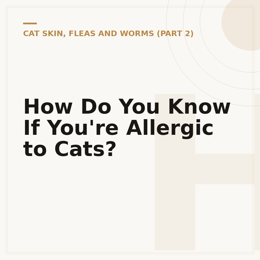 How Do You Know If You're Allergic to Cats?