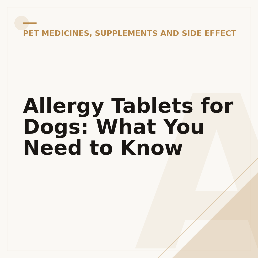 Allergy Tablets for Dogs: What You Need to Know