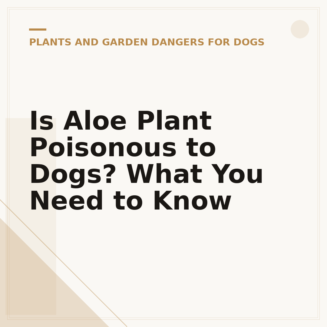 Is Aloe Plant Poisonous to Dogs? What You Need to Know