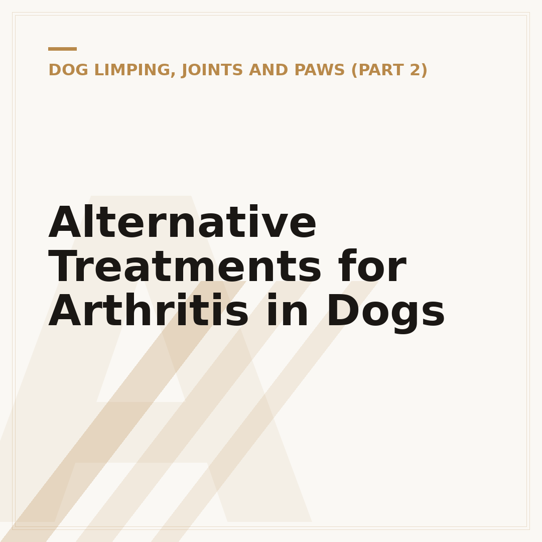 Alternative Treatments for Arthritis in Dogs