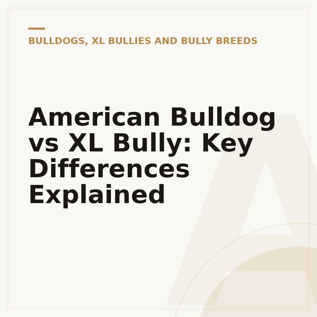 American Bulldog vs XL Bully: Key Differences Explained
