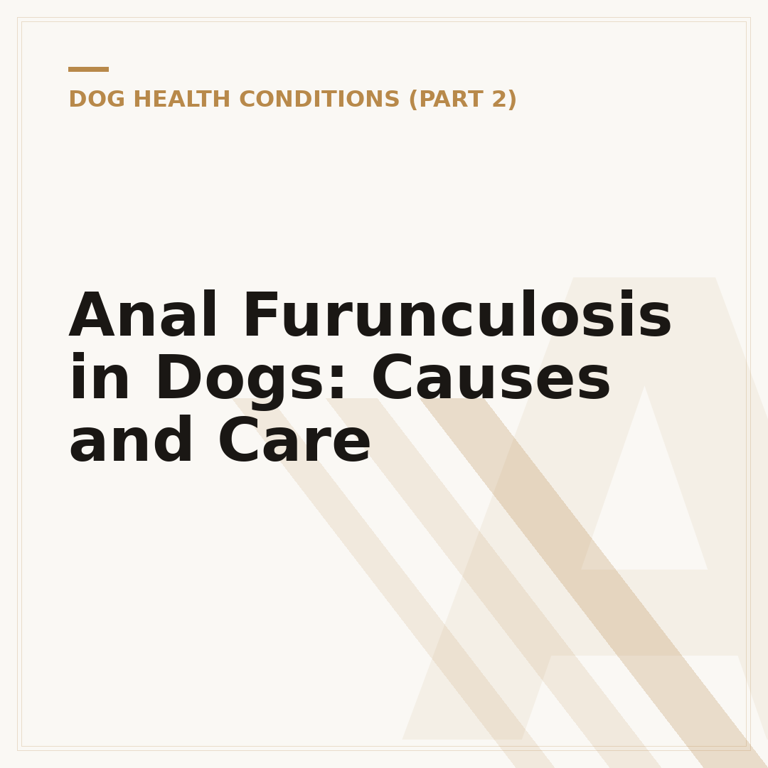 Anal Furunculosis in Dogs: Causes and Care