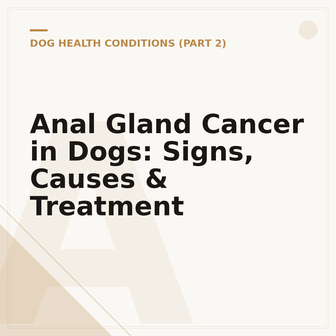 Anal Gland Cancer in Dogs: Signs, Causes & Treatment