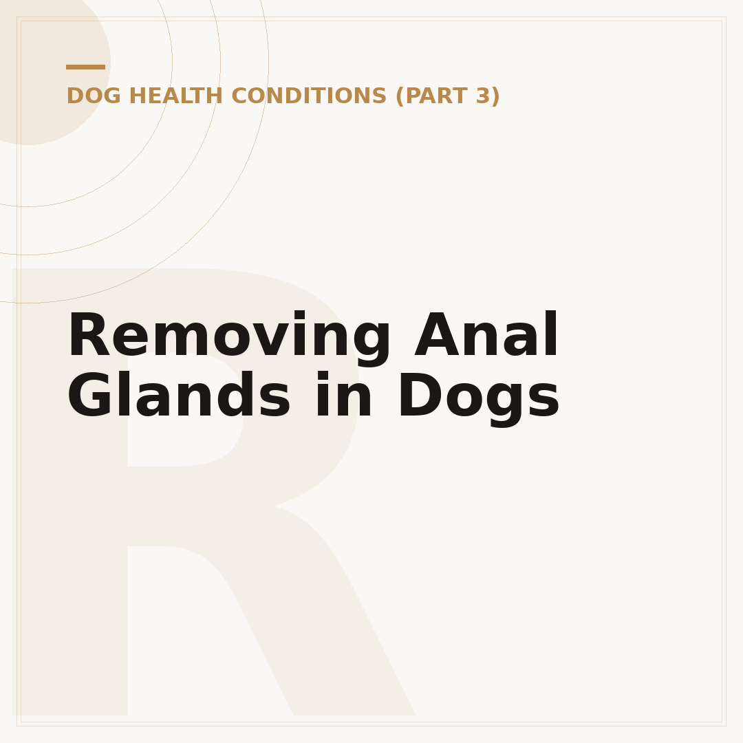Removing Anal Glands in Dogs