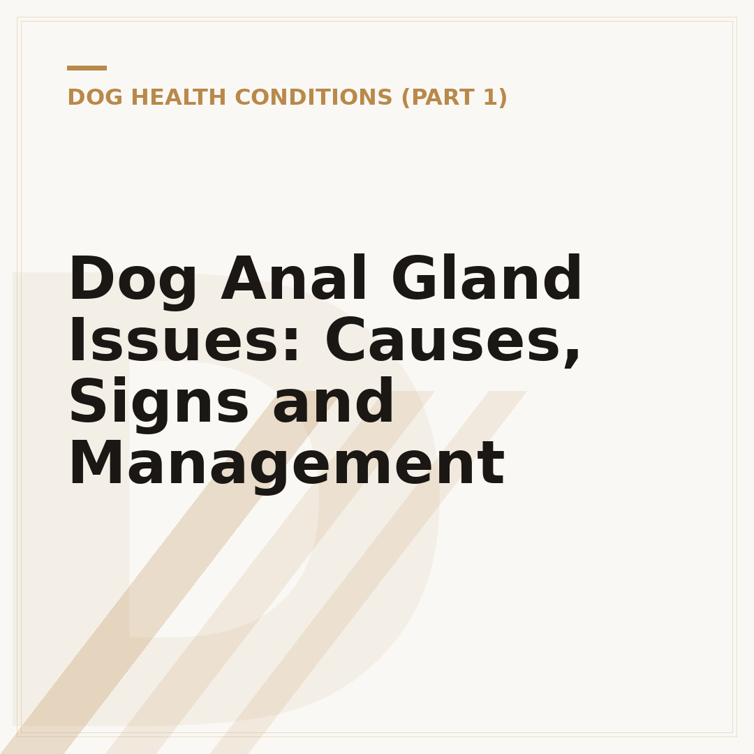 Dog Anal Gland Issues: Causes, Signs and Management