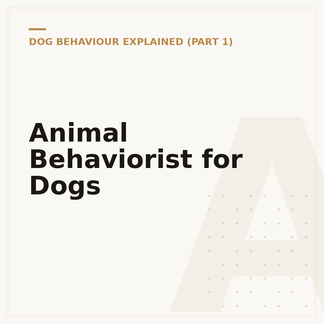 Animal Behaviorist for Dogs