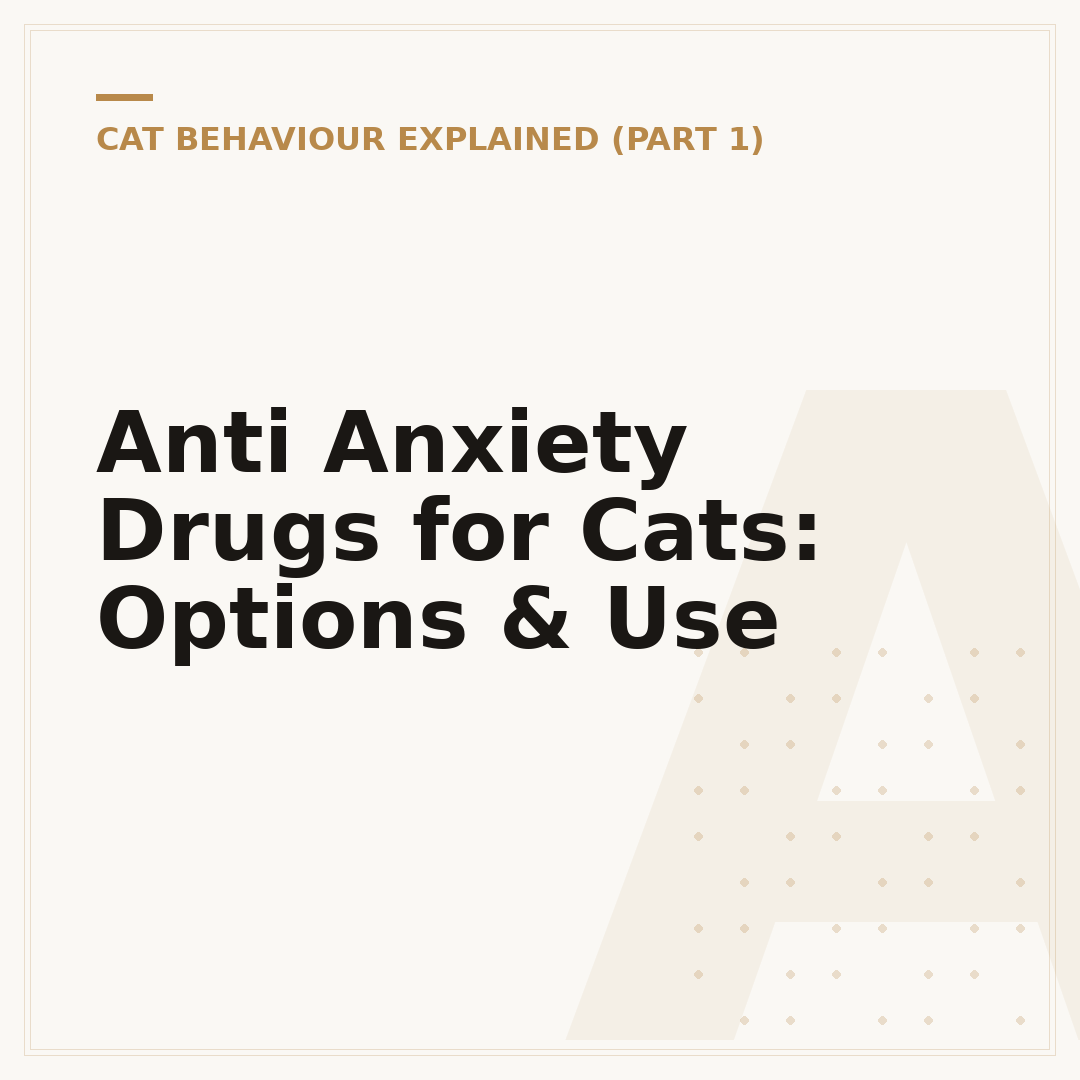 Anti Anxiety Drugs for Cats: Options & Use