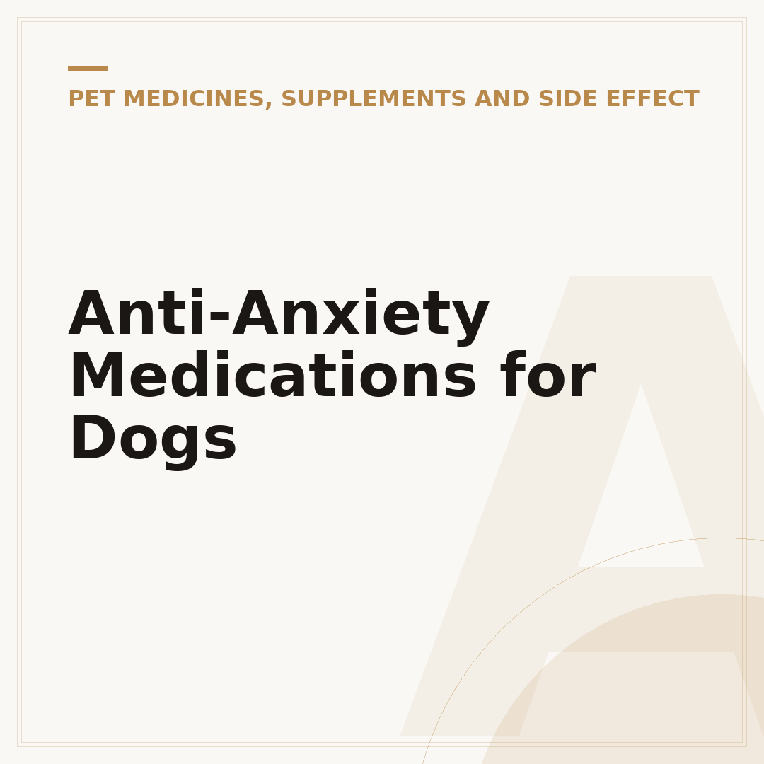 Anti-Anxiety Medications for Dogs