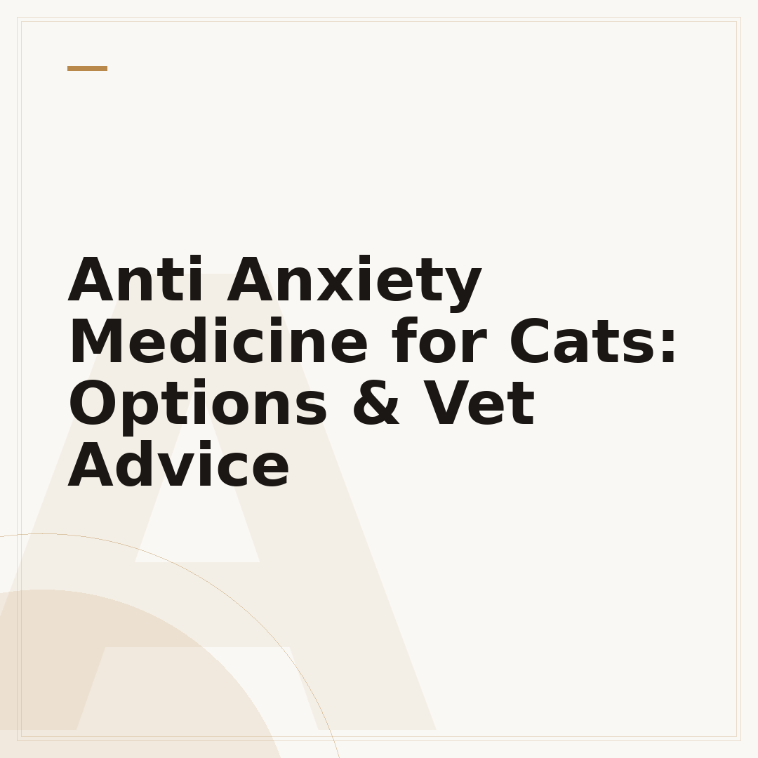 Anti Anxiety Medicine for Cats: Options & Vet Advice