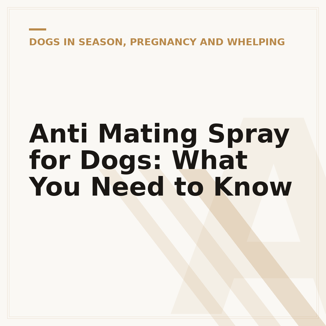 Anti Mating Spray for Dogs: What You Need to Know