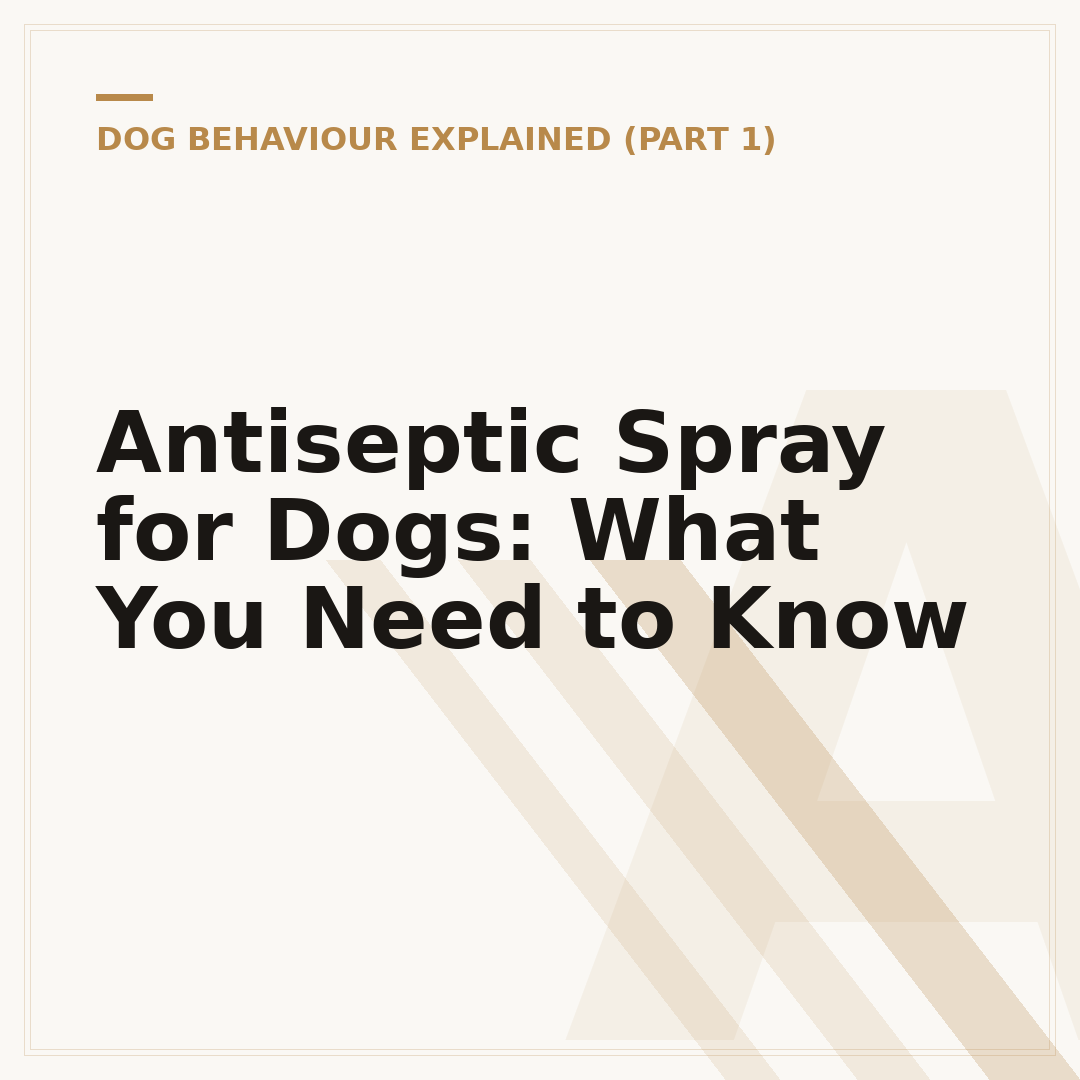 Antiseptic Spray for Dogs: What You Need to Know
