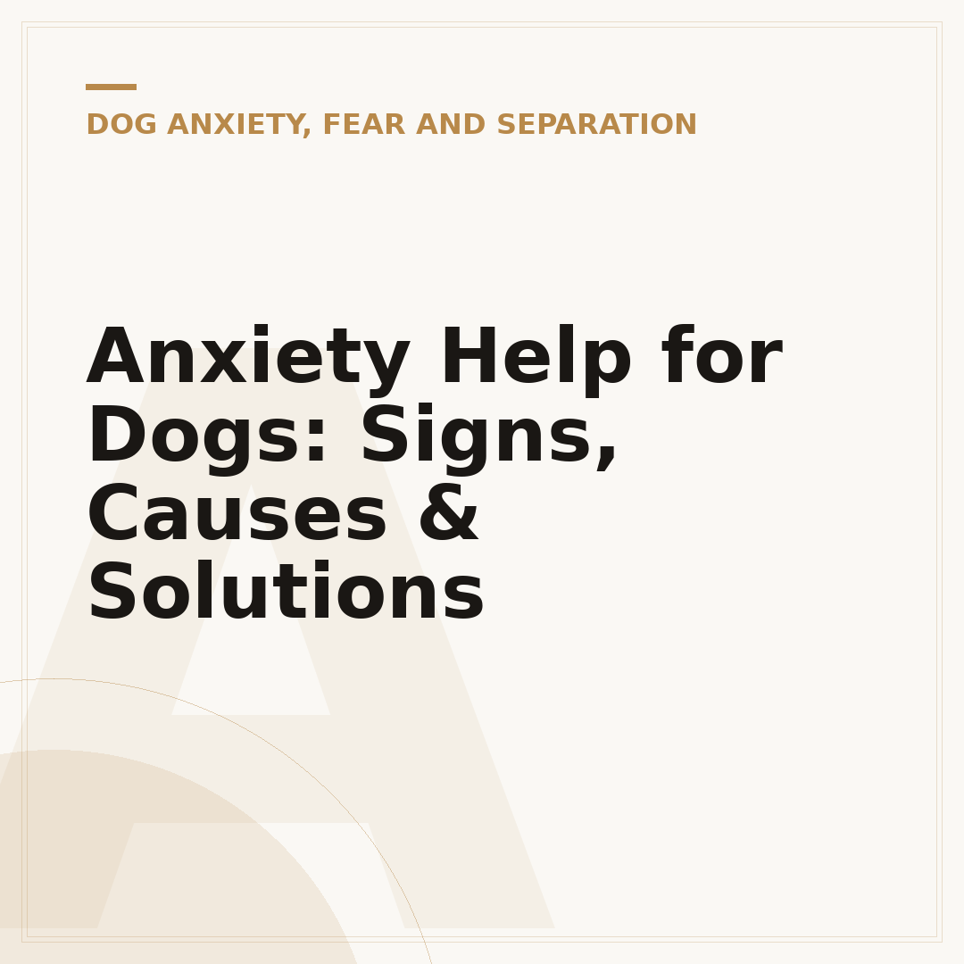 Anxiety Help for Dogs: Signs, Causes & Solutions