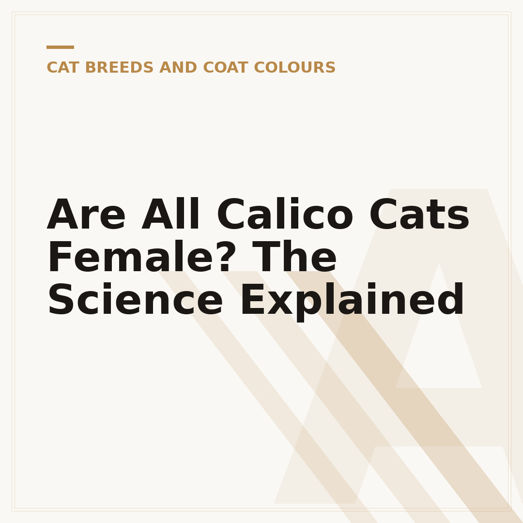Are All Calico Cats Female? The Science Explained